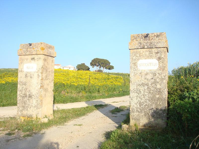 Agriturismo Tenuta Stoccatello Menfi Buitenkant foto