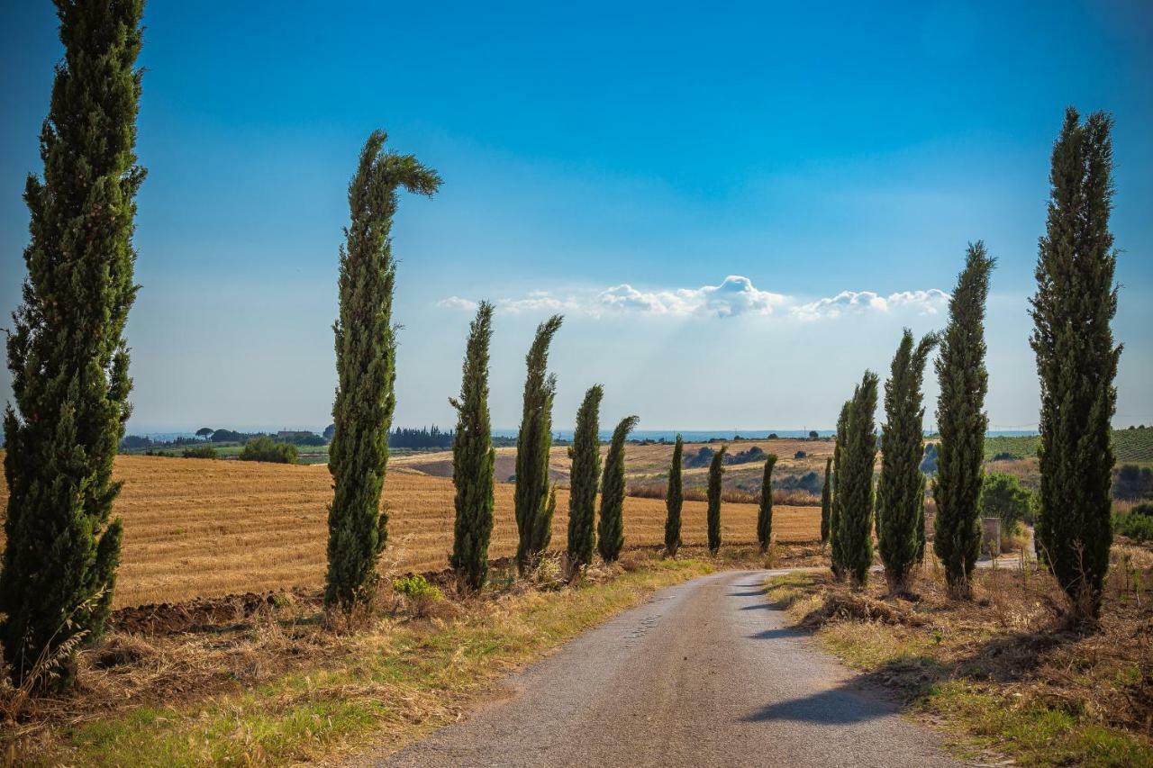 Agriturismo Tenuta Stoccatello Menfi Buitenkant foto